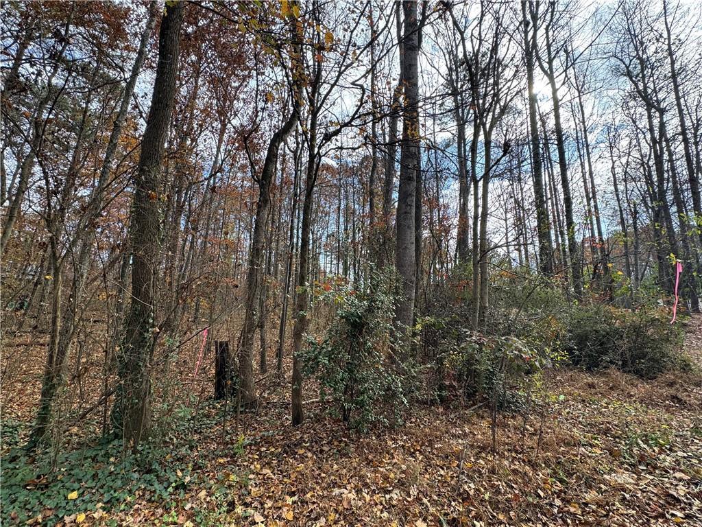 Hamby Rd., Acworth, GA 30102