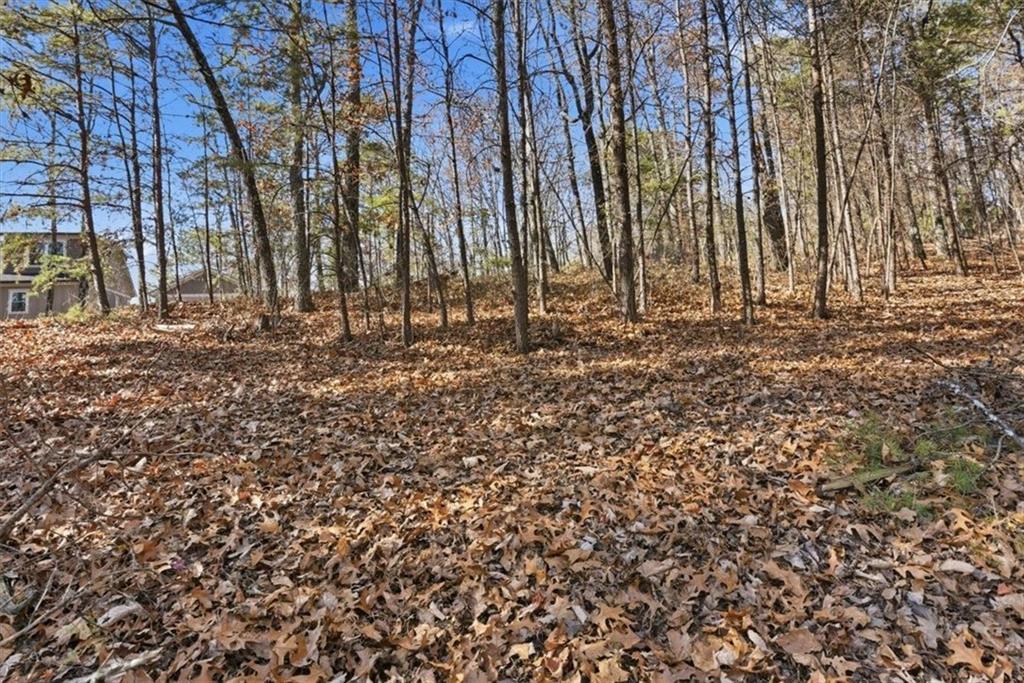 1166 Hunter Dr., Ranger, GA 30734