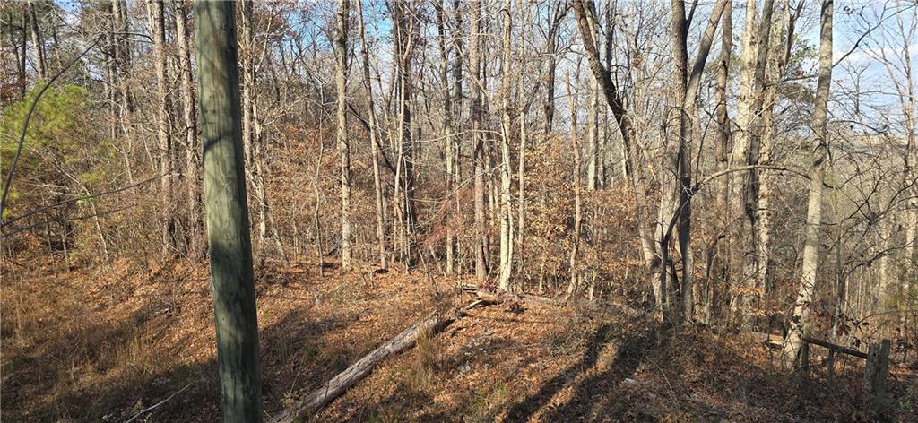 00001 Matt Hwy., Ball Ground, GA 30107