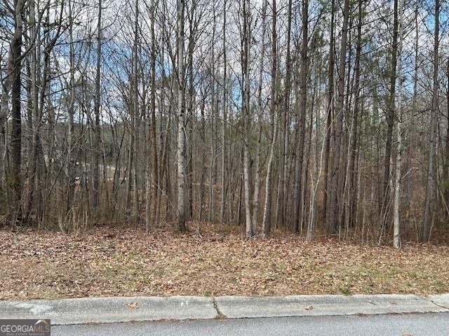 110 Anita Blvd, Carrollton, GA 30117