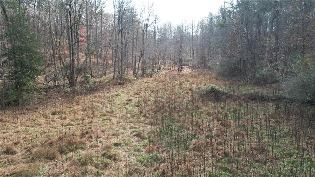 0000 Blackburn Tract 3a Rd., Dawsonville, GA 30534