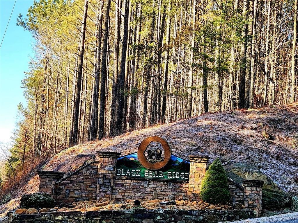 Black Bear Ridge, Ellijay, GA 30536