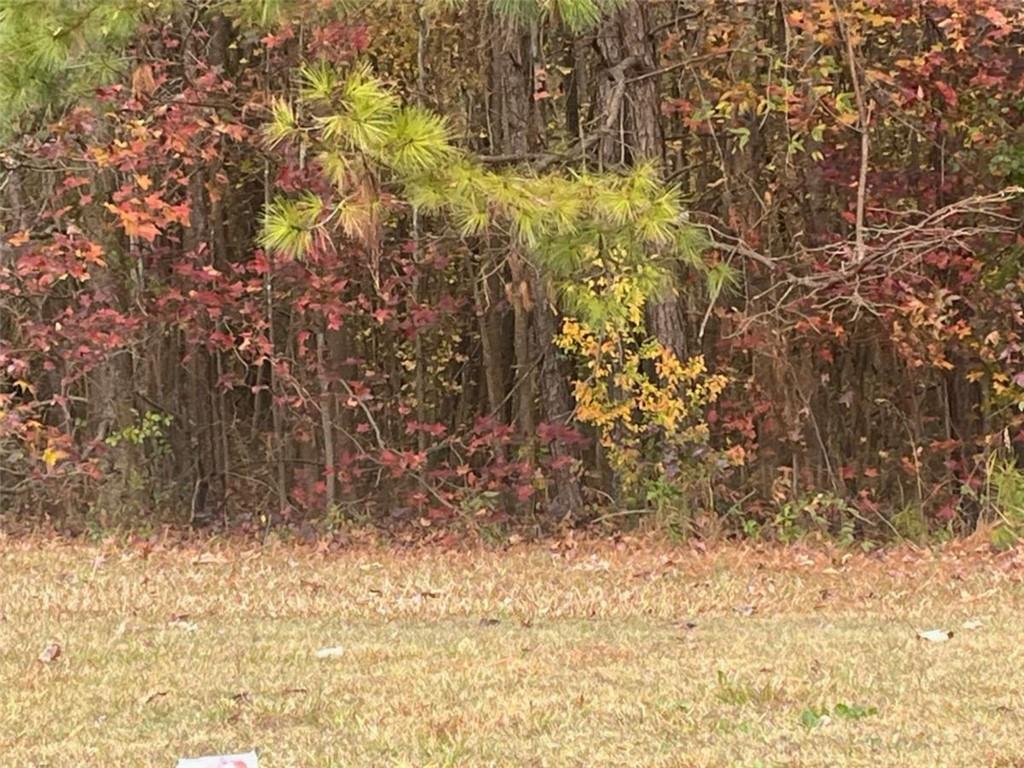 Highway 138, Jonesboro, GA 30236