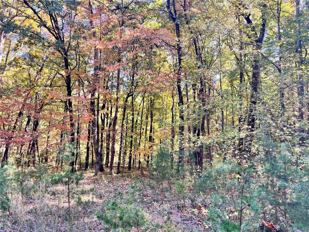 Lot 22 Wauka Mountain Ter., Clermont, GA 30527