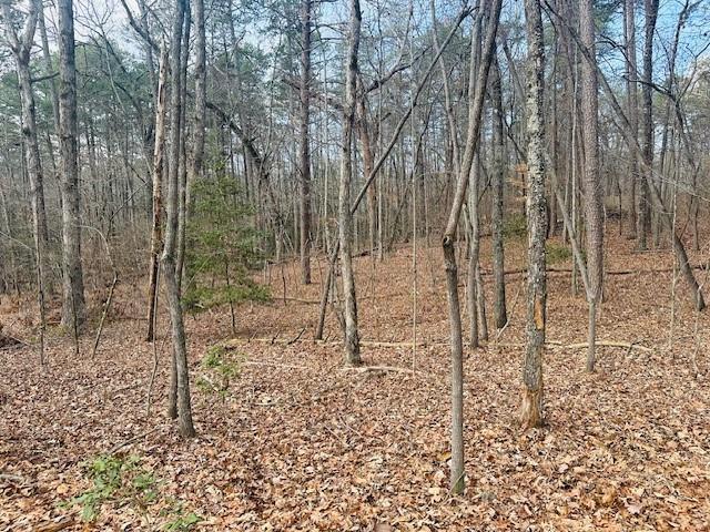 Lot 28 Fern Park Dr., Dawsonville, GA 30534