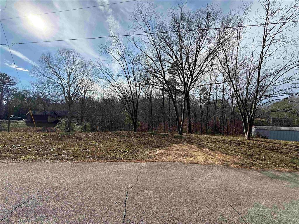 00 Bethany St., Tallapoosa, GA 30176