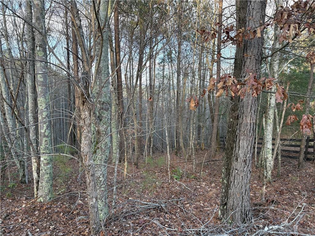 810 Bagwell Tr., Waleska, GA 30183