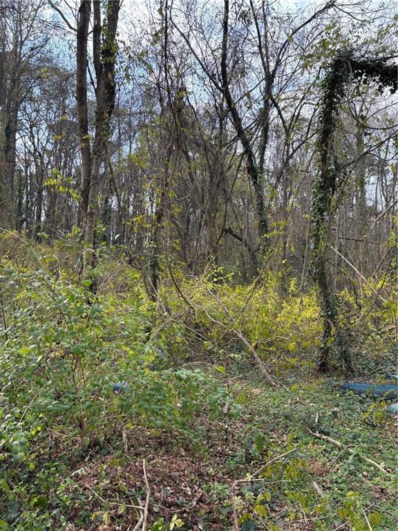 3231 Jonesboro Rd., Atlanta, GA 30354