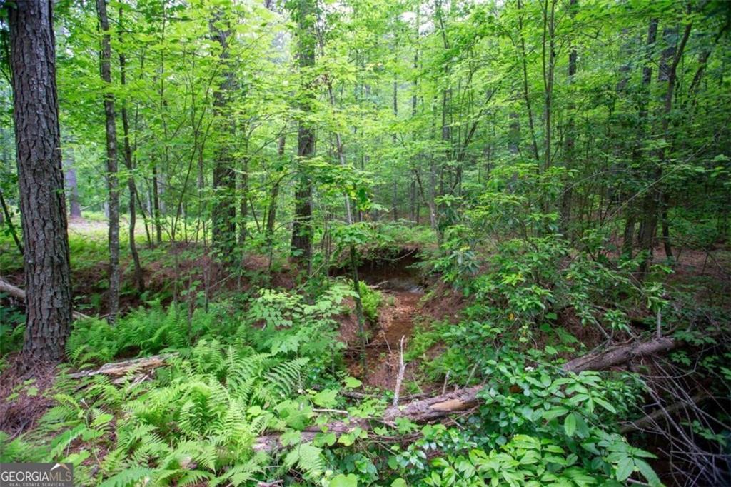 6480A Highway 52, Dahlonega, GA 30533