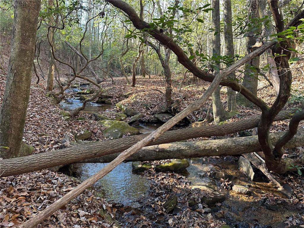 125 Patriot View Dr., Dahlonega, GA 30533