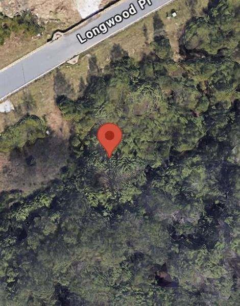 439 Longwood Pl., Dallas, GA 30132