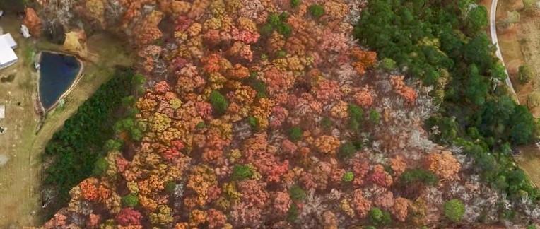 Bailey Cir., Loganville, GA 30052