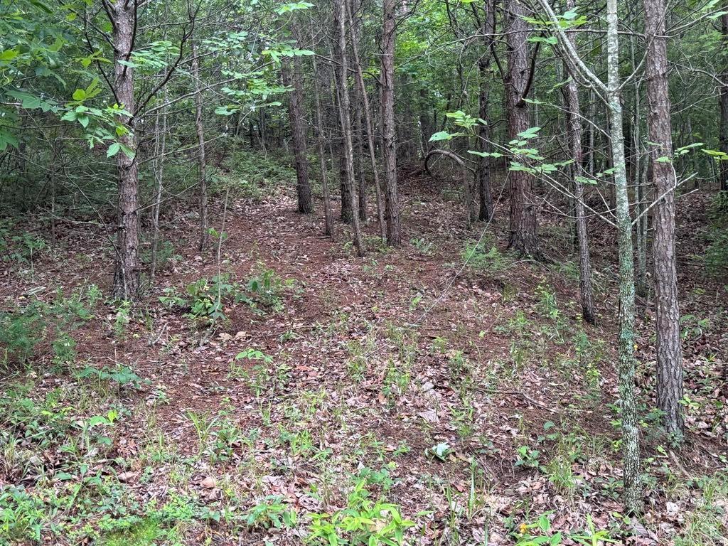 575 Galaxy Way, Ranger, GA 30734