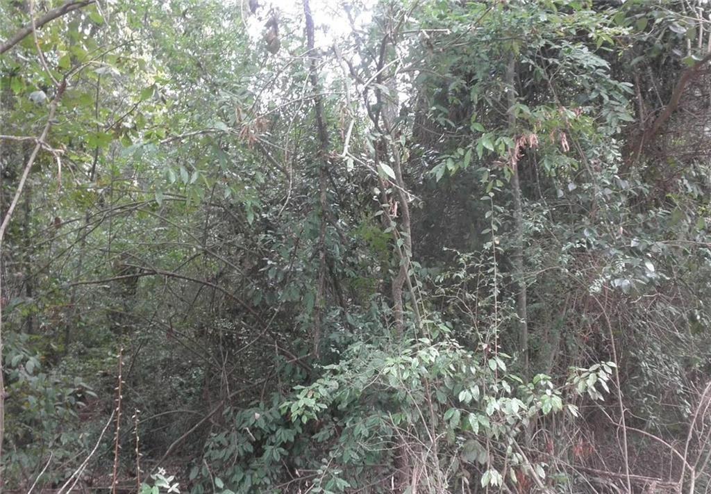 Waters Street, Monticello, GA 31064