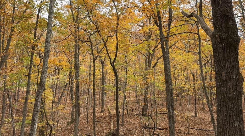 Super Deluxe Road, Rockmart, GA 30153