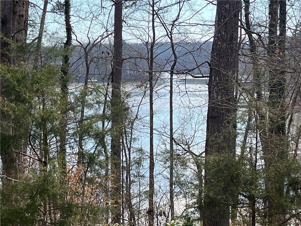 Rue Maurice, Lavonia, GA 30553