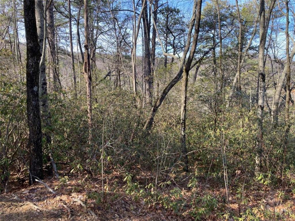 LOT 37 Whispering Dale Dr., Clarkesville, GA 30523