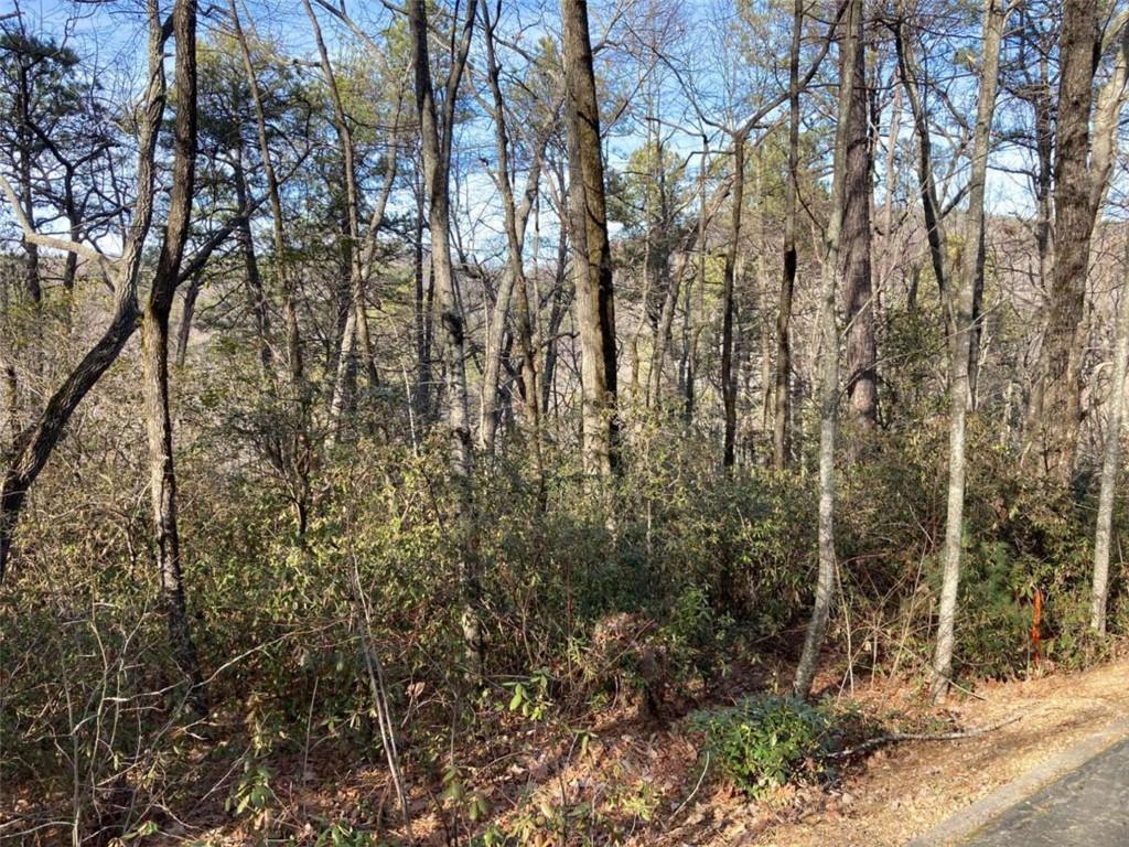 LOT 36 Whispering Dale Dr., Clarkesville, GA 30523
