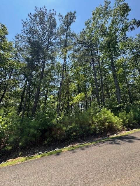 Carters View, Ellijay, GA 30540