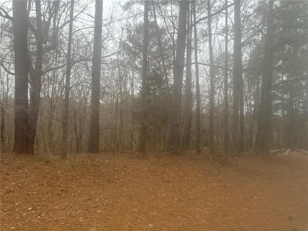 5221 Sandy Shores Ct., Atlanta, GA 30038