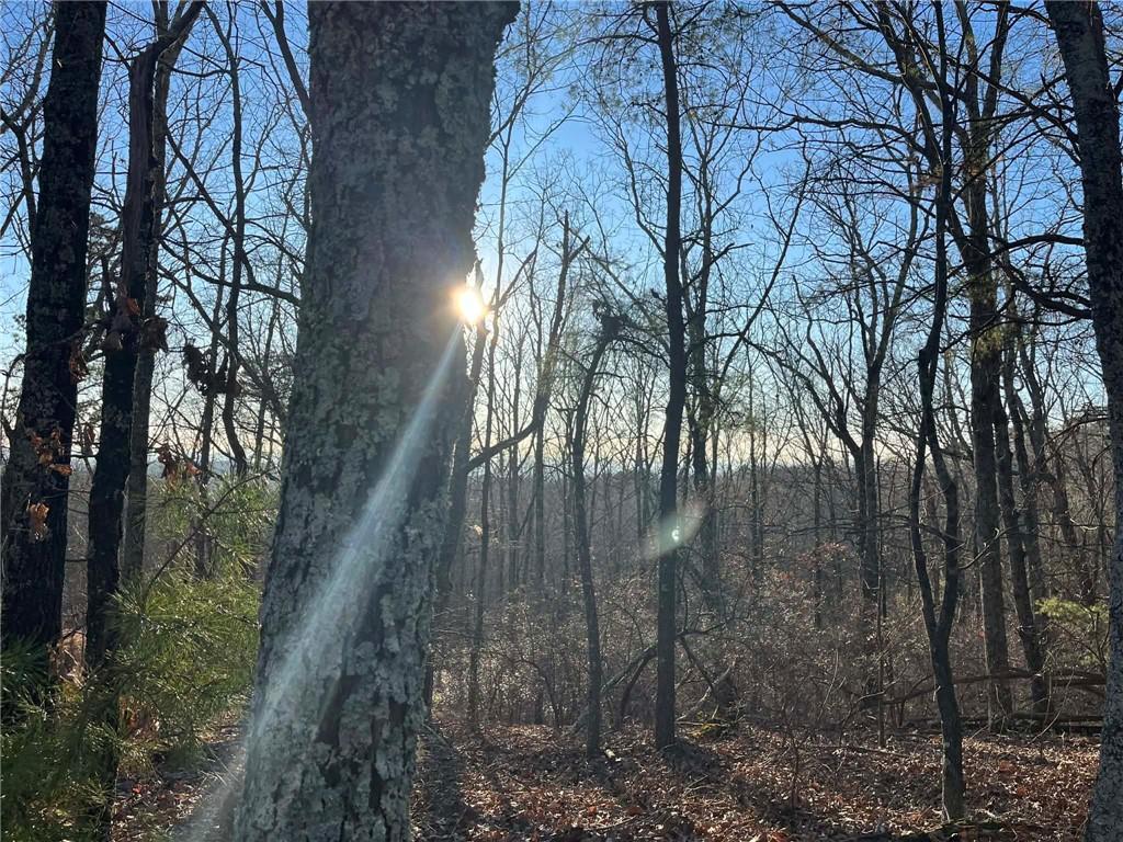 1171 Hunter Dr., Ranger, GA 30734