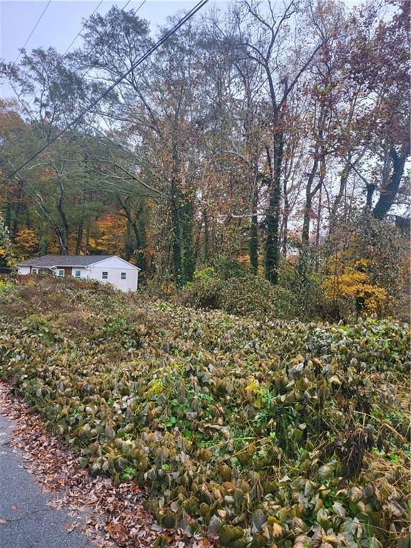 00 Swallow Cir., Atlanta, GA 30315