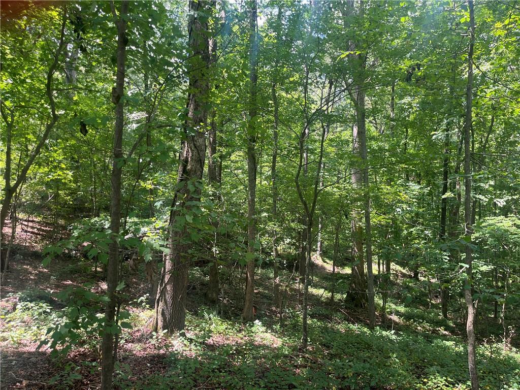 6 Acres Henry Scott, Ball Ground, GA 30107