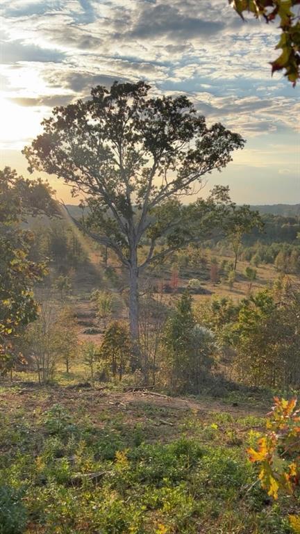 1590 Buttermilk Rd., Cave Spring, GA 30124