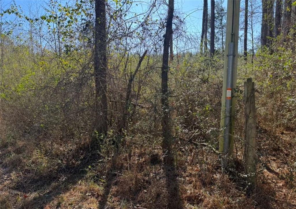 Norton Rd., Kingston, GA 30145