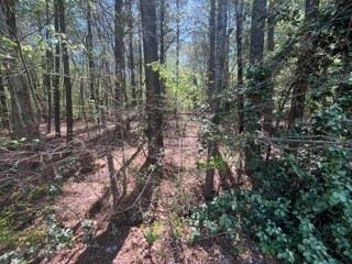 Troupe Smith Rd., Conyers, GA 30094