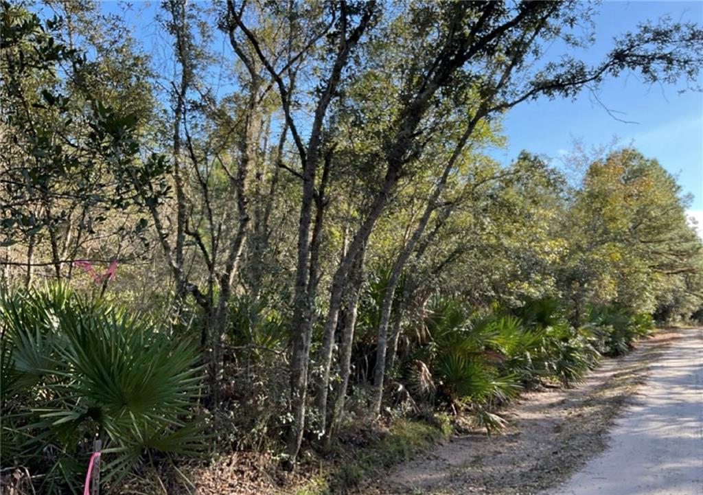 Deerwood Creek Estates Rd., Waverly, GA 31565