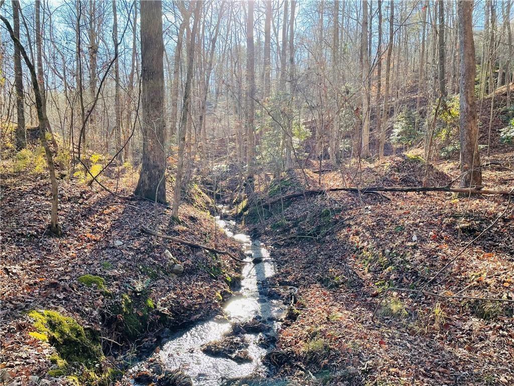 49 Old Stamp Mill Rd., Dahlonega, GA 30533