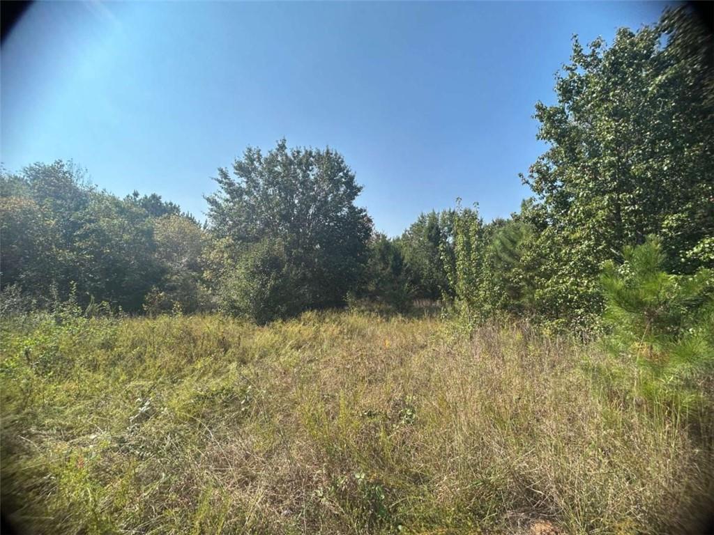 Blanche Rd., Cedartown, GA 30125