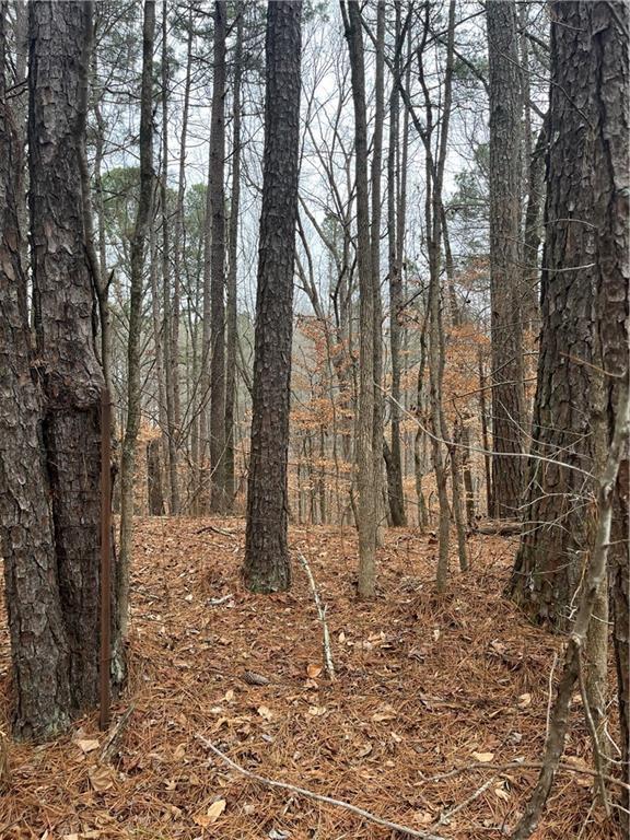 LOT 3 Lake Esther Dr., Fairburn, GA 30213