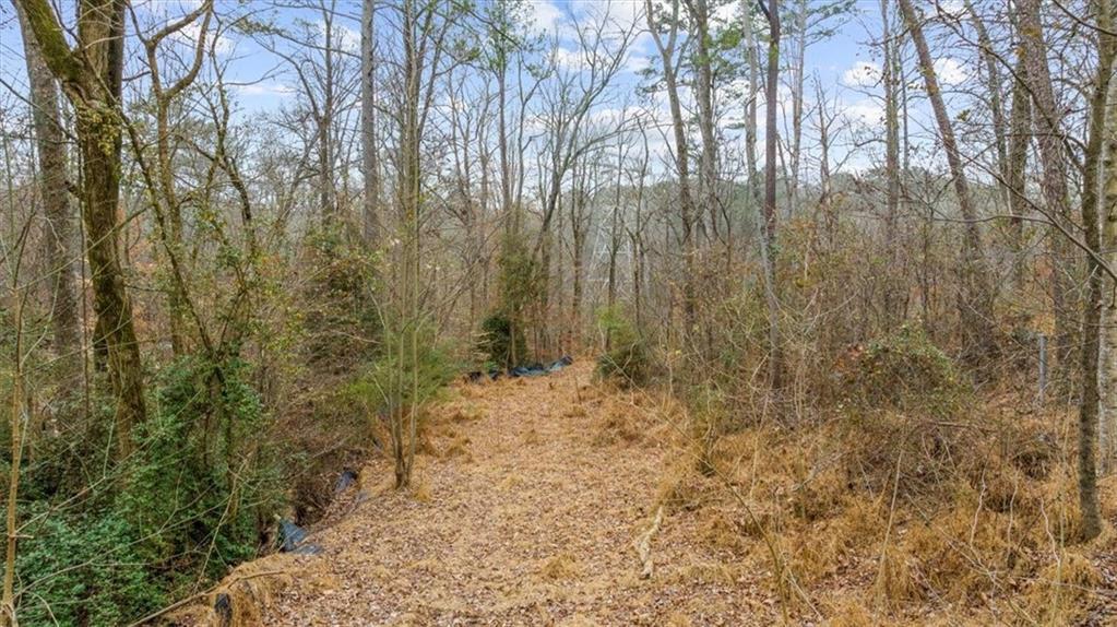 4194 Rocky Ledge Way, Snellville, GA 30039