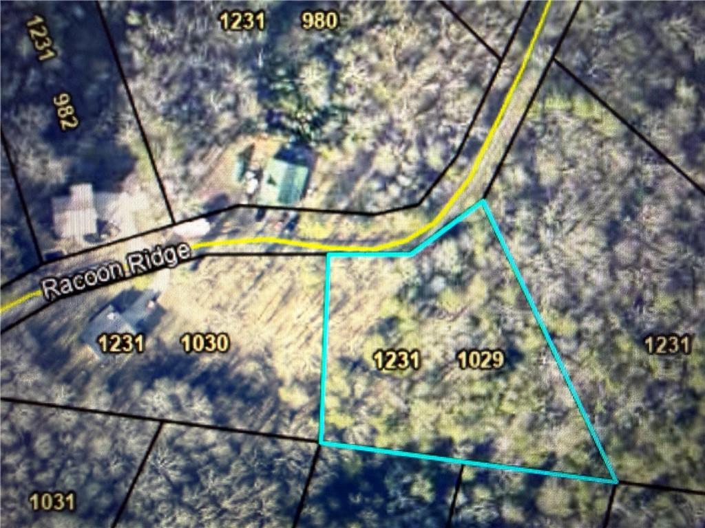 1029 Raccoon Ridge, Ranger, GA 30734