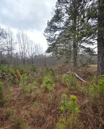 5534 Steadman Road, Tallapoosa, GA 30176