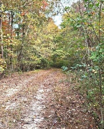 Fruit Farm Rd., Summerville, GA 30747