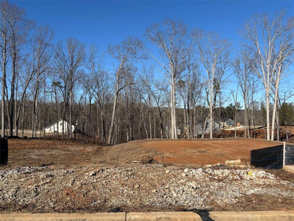 3390 Trevi Tr., Douglasville, GA 30135