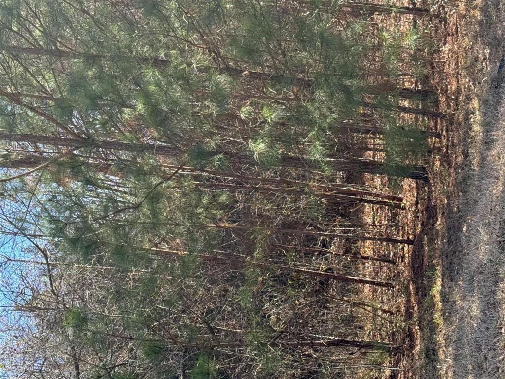 13905 Brown Bridge Rd., Covington, GA 30016