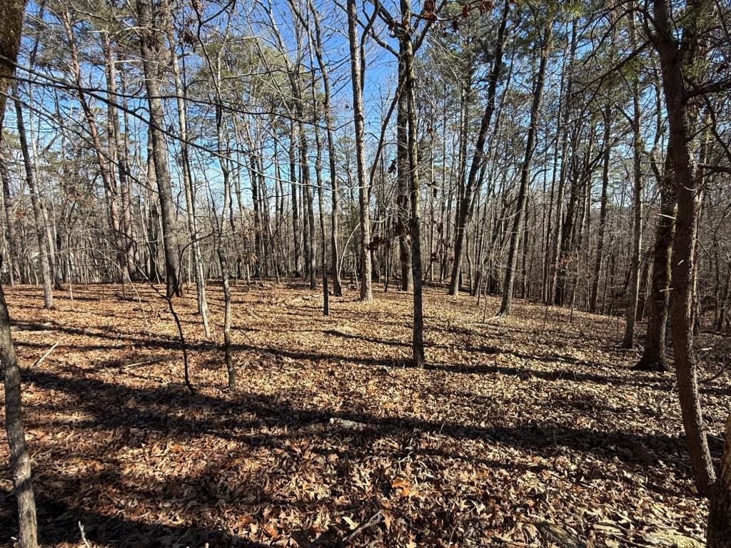 Grindle Bridge Rd., Dahlonega, GA 30533