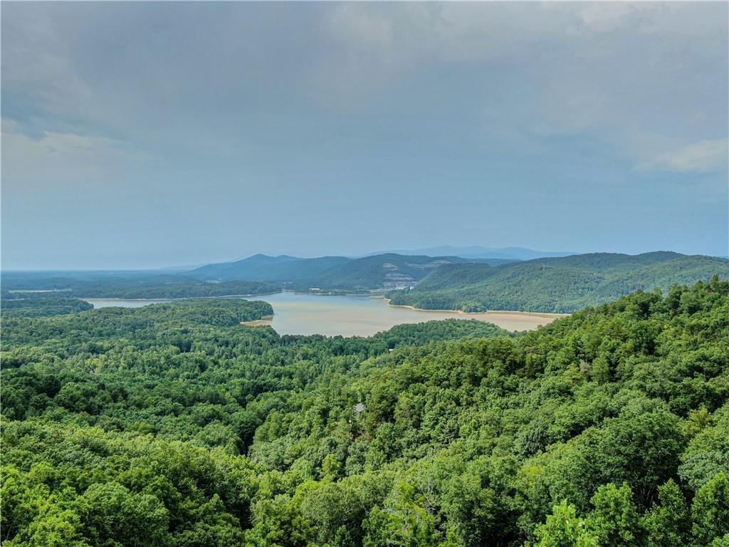 962 Raccoon Ridge, Ranger, GA 30734