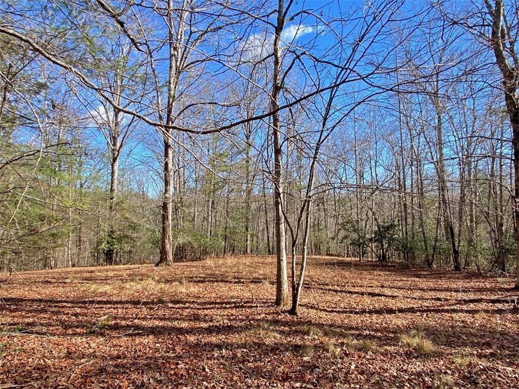 17.8ac Frogtown Rd., Dahlonega, GA 30533
