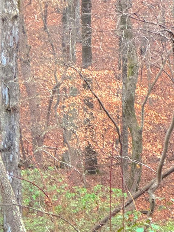 00 Crooked Creek, Jasper, GA 30143