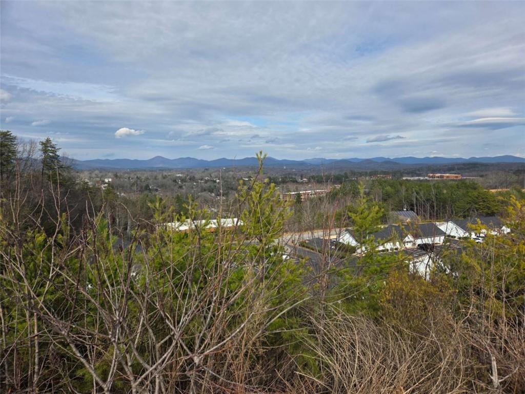 LOTS Village Dr, Dahlonega, GA 30533