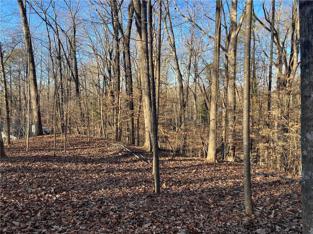 170 Magnolia St., Roswell, GA 30075