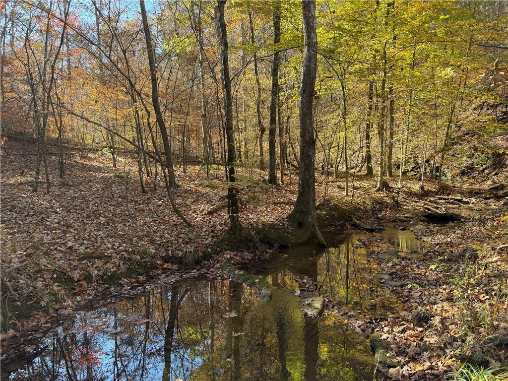 286 Carnes Rd., Cartersville, GA 30120