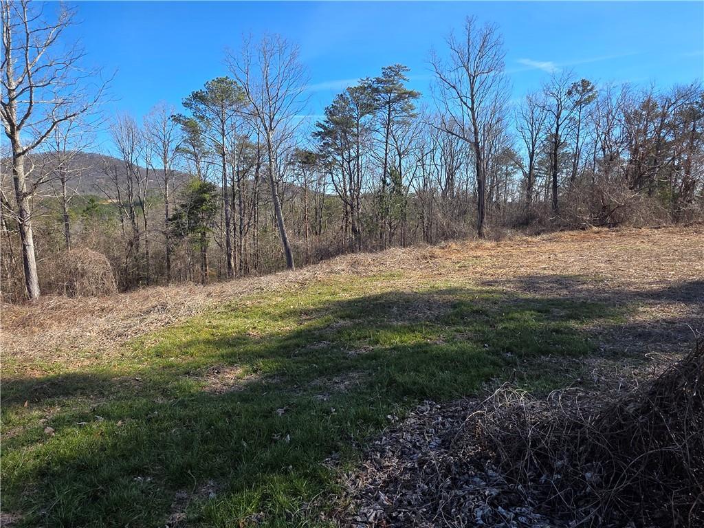 TBD Cowart Mountain Tract 2 Rd., Jasper, GA 30143