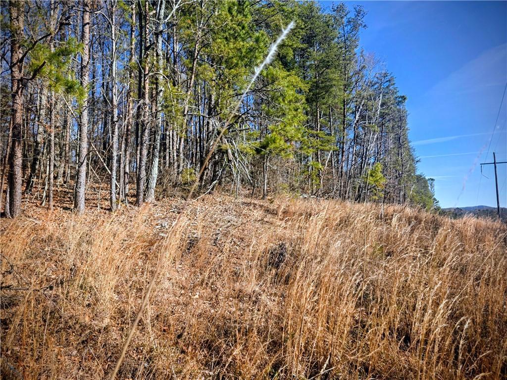TBD Cowart Mountain Tract 3 Rd., Jasper, GA 30143