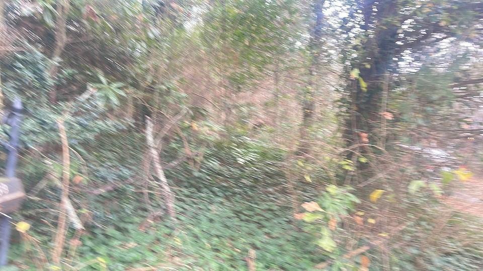 1139 Mcconnell Dr., Decatur, GA 30033